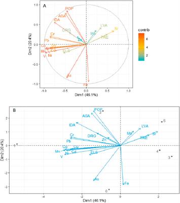 Sediment Metal Contamination, Bioavailability, and Oxidative Stress Response in Mangrove Avicennia marina in Central Red Sea